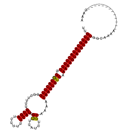 secondary structure
