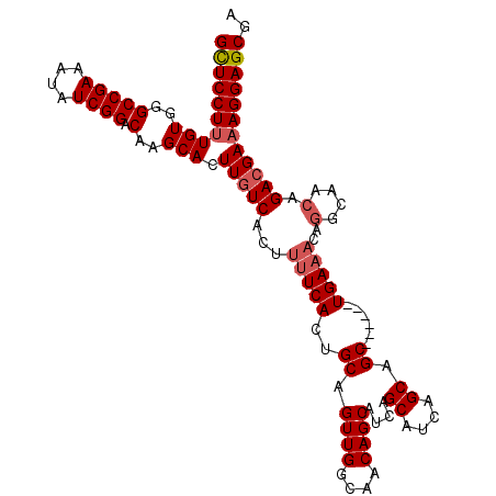 secondary structure