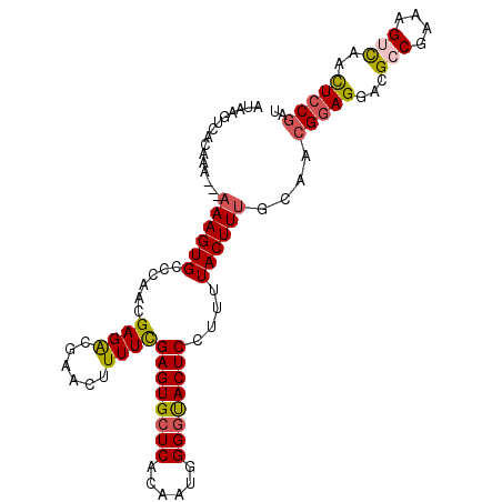 secondary structure
