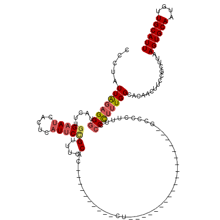 secondary structure