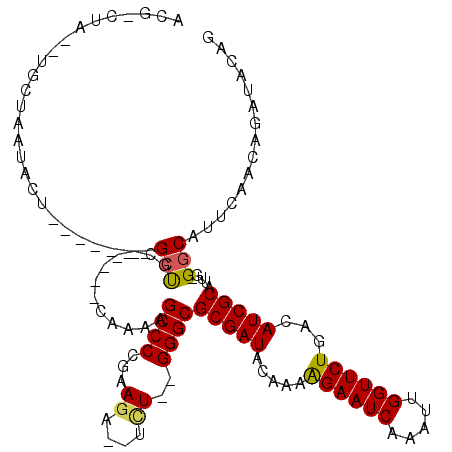 secondary structure