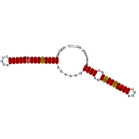 secondary structure