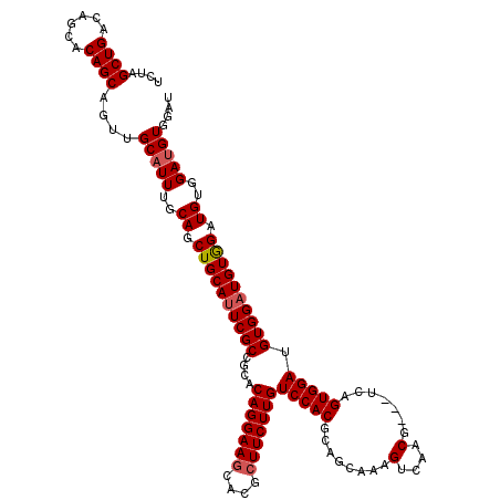 secondary structure