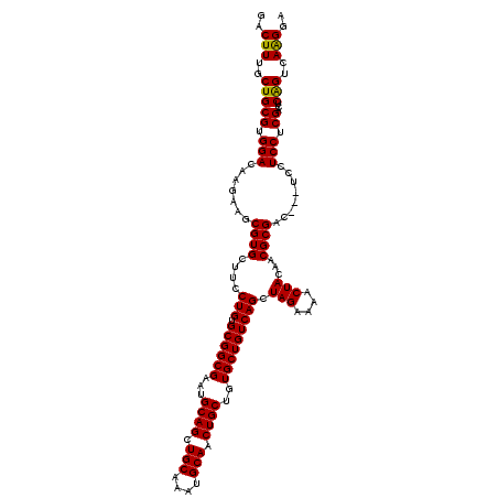 secondary structure