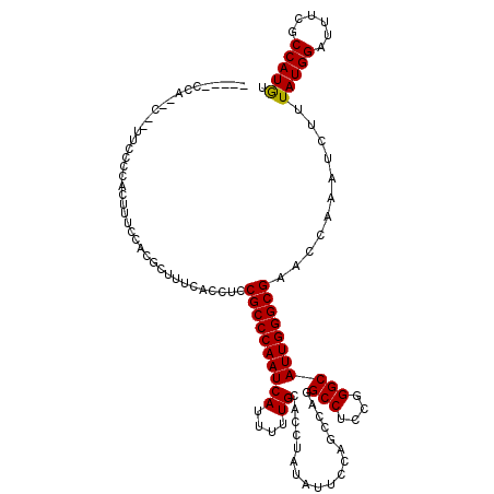 secondary structure