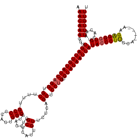 secondary structure