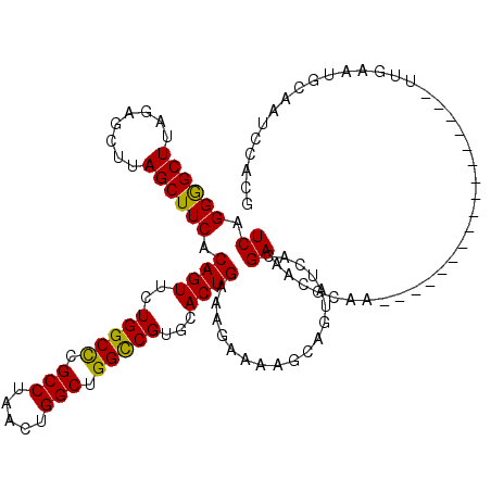 secondary structure