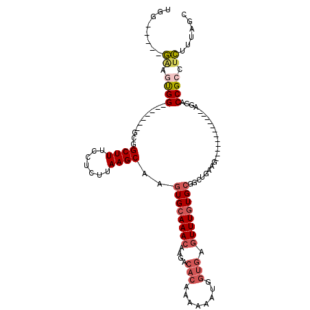 secondary structure