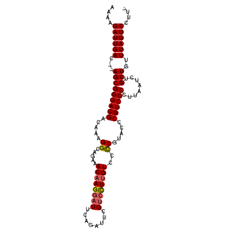 secondary structure