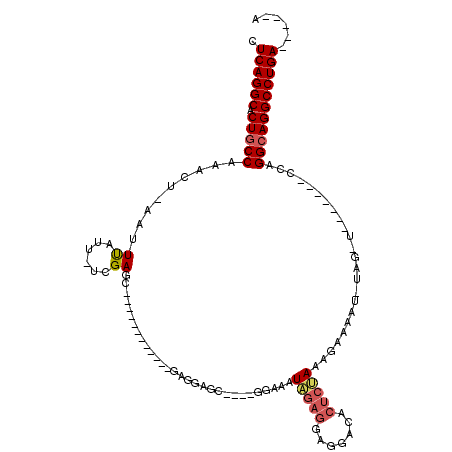 secondary structure