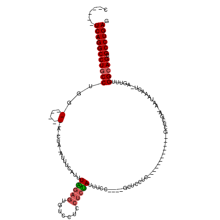 secondary structure