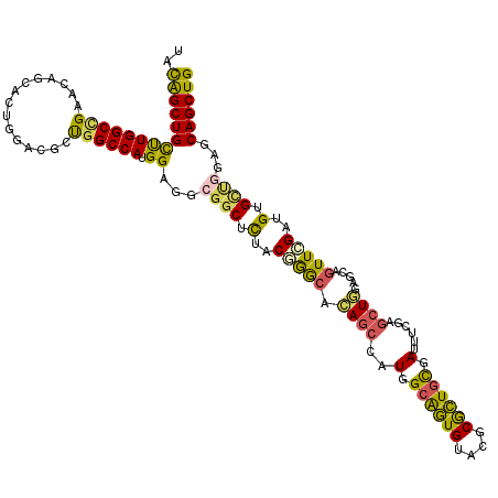 secondary structure