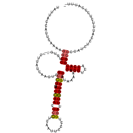 secondary structure