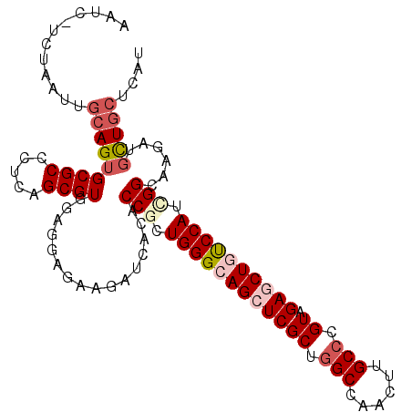 secondary structure