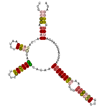 secondary structure