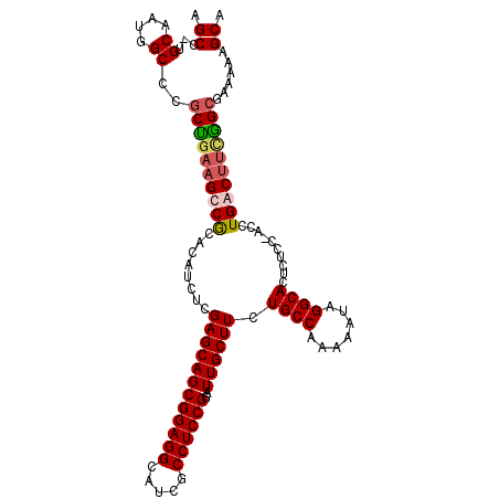 secondary structure