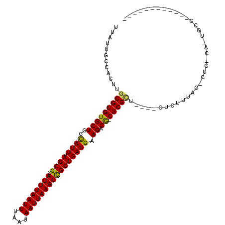 secondary structure