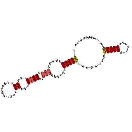 secondary structure