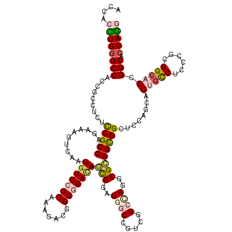 secondary structure