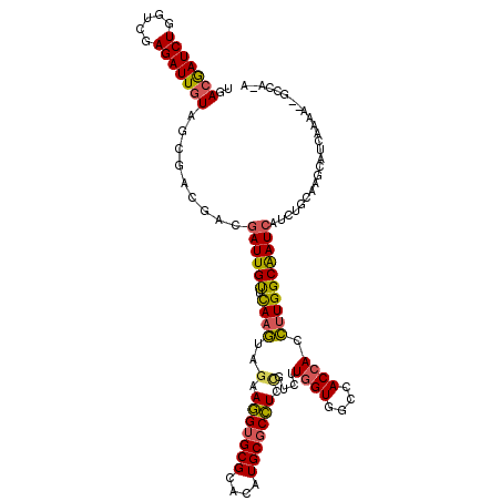 secondary structure