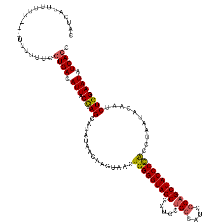 secondary structure