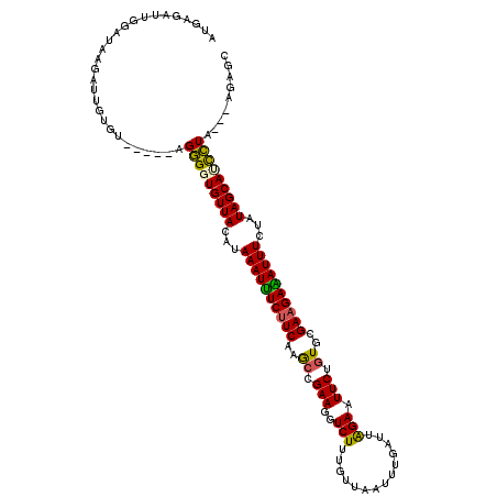 secondary structure