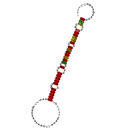 secondary structure