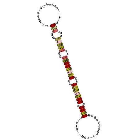 secondary structure
