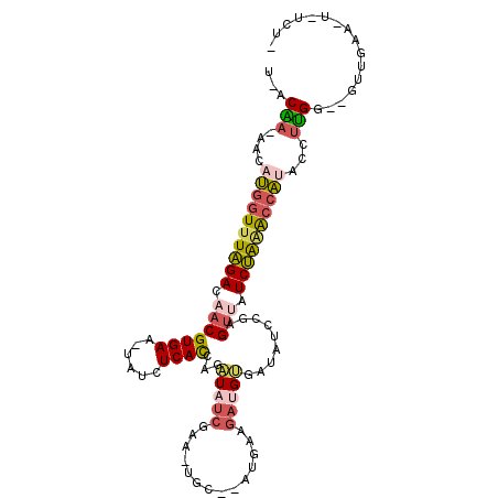 secondary structure