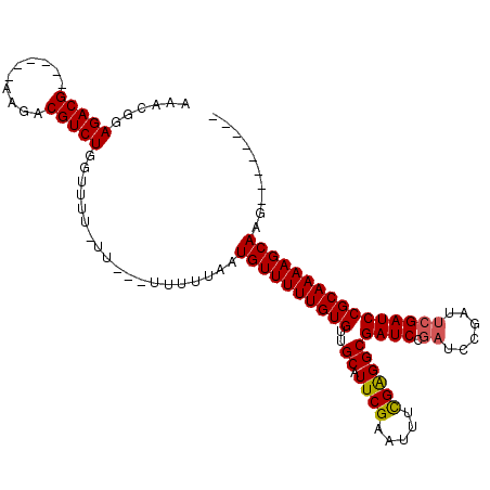 secondary structure