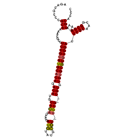 secondary structure