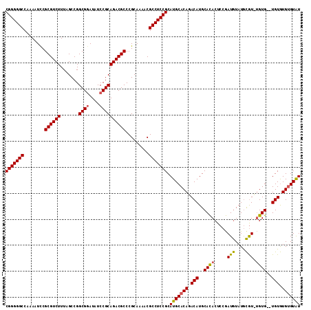dotplot