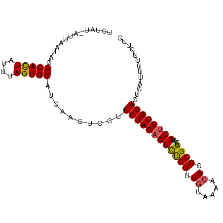 secondary structure
