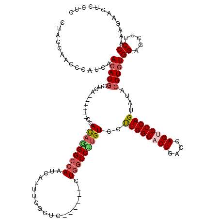 secondary structure