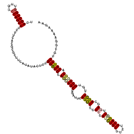 secondary structure
