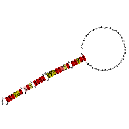 secondary structure
