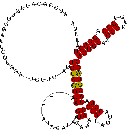 secondary structure