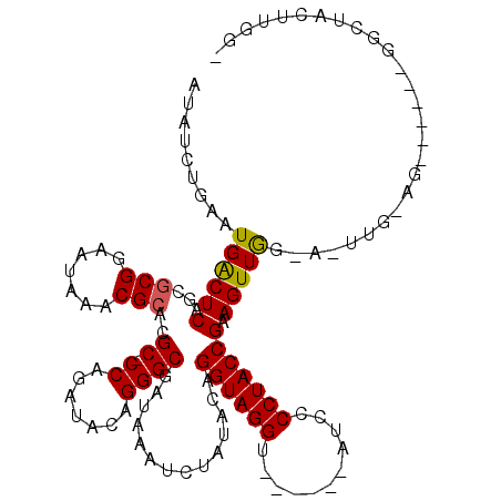 secondary structure