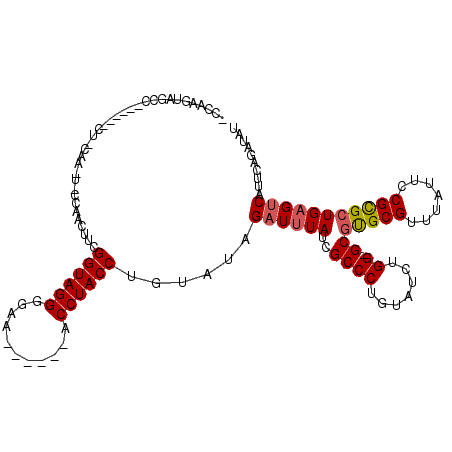 secondary structure