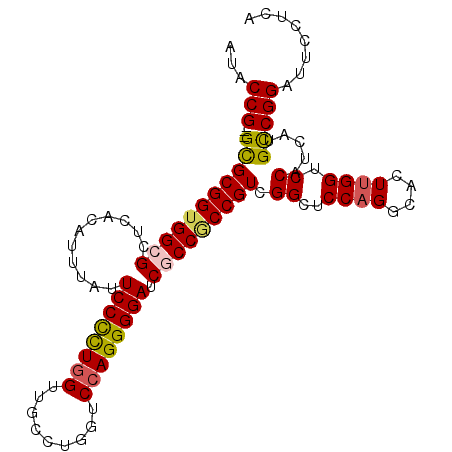 secondary structure