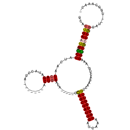 secondary structure