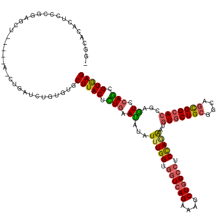 secondary structure