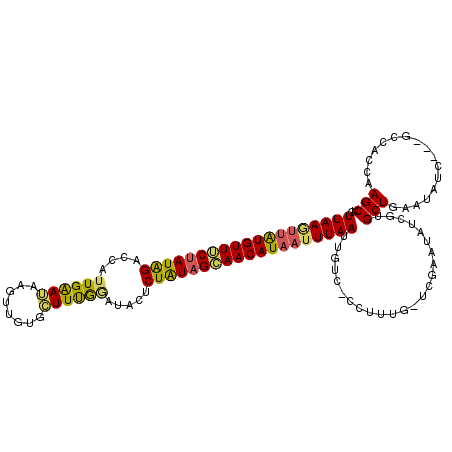secondary structure