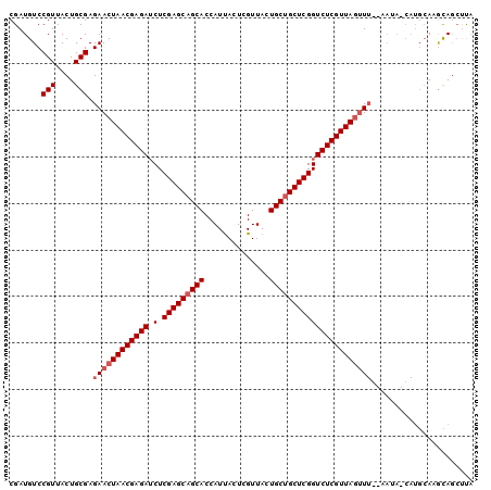 dotplot