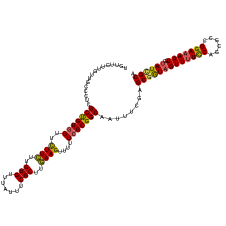 secondary structure