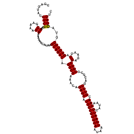 secondary structure