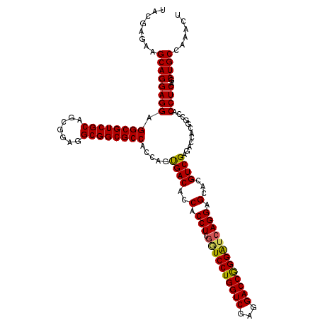 secondary structure