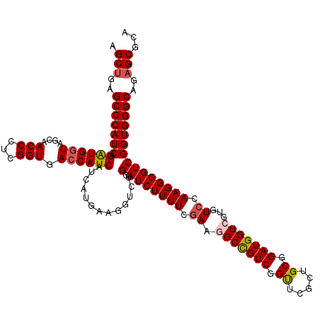 secondary structure
