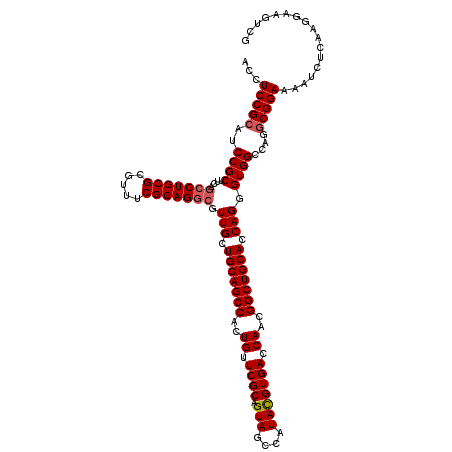 secondary structure