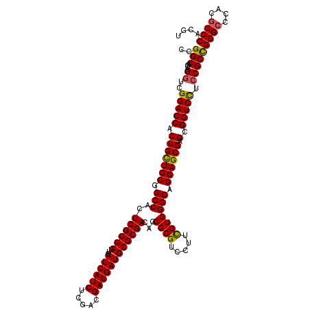 secondary structure